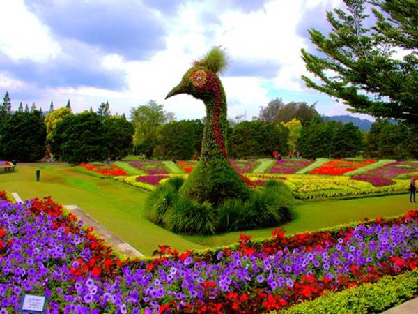 Menyegarkan Jiwa di Taman Bunga Bogor: Panduan Wisata Lengkap